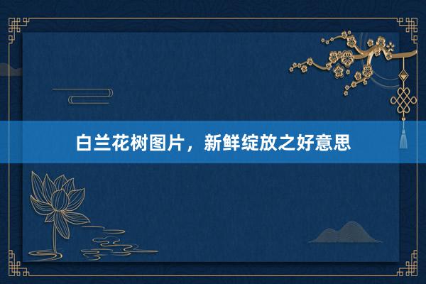 白兰花树图片，新鲜绽放之好意思