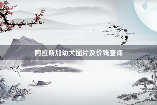 阿拉斯加幼犬图片及价钱查询